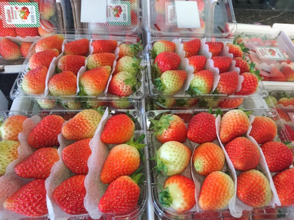 Dear Sir/Madam Procom is a major supplier of agricultural products from Vietnam, we provide FRESH, DELICIOUS and LOW PRICE