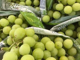 Dear Sir/Madam Procom is a major supplier of agricultural