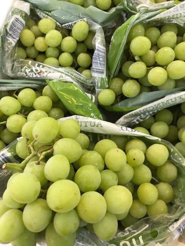 Dear Sir/Madam Procom is a major supplier of agricultural products from Vietnam, we provide FRESH, DELICIOUS and LOW PRICE