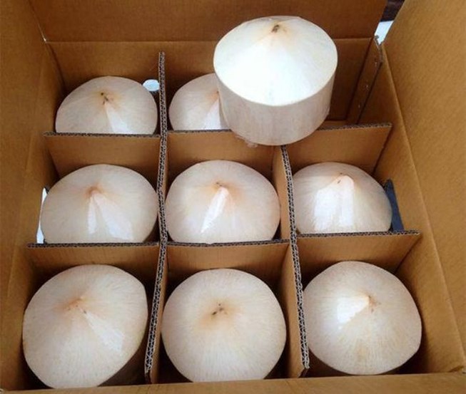 TYPE: Green Coconut, Top Cut Coconut, Diamond Coconut, Polished Young Coconut, Easy Open Coconut ORIGIN: Vietnam TAST: Sweet and natural flavour PACKING: 9