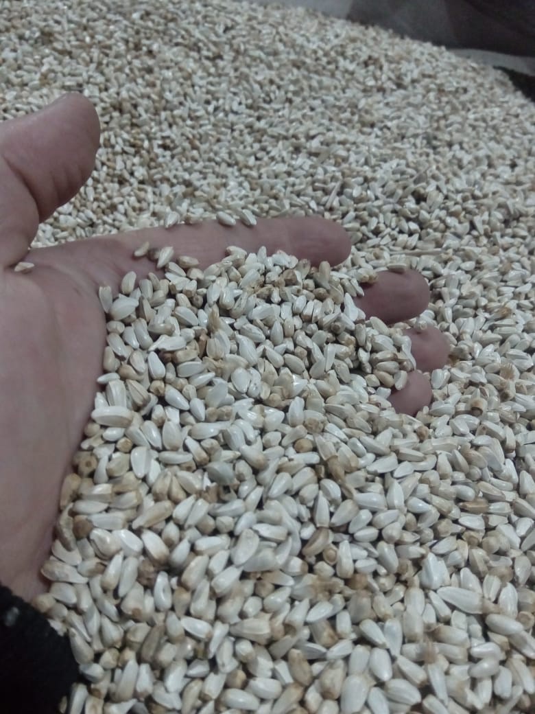 Bavarian safflower 98% 9% Worki, begi Fee for a Polish company