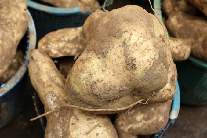 We have fresh sweet potatoes from our farm, we seek international patronage globally, our pricing will suites your budget, we anticipate a long term
