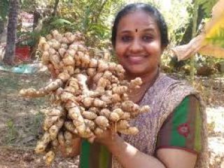 Fresh ginger is available.