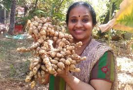 Fresh ginger is available