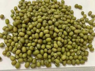 Product Type: Vigna Beans Type: Mung Beans Style: Dried