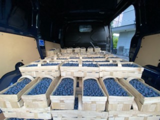I will sell fresh blueberries from June to July