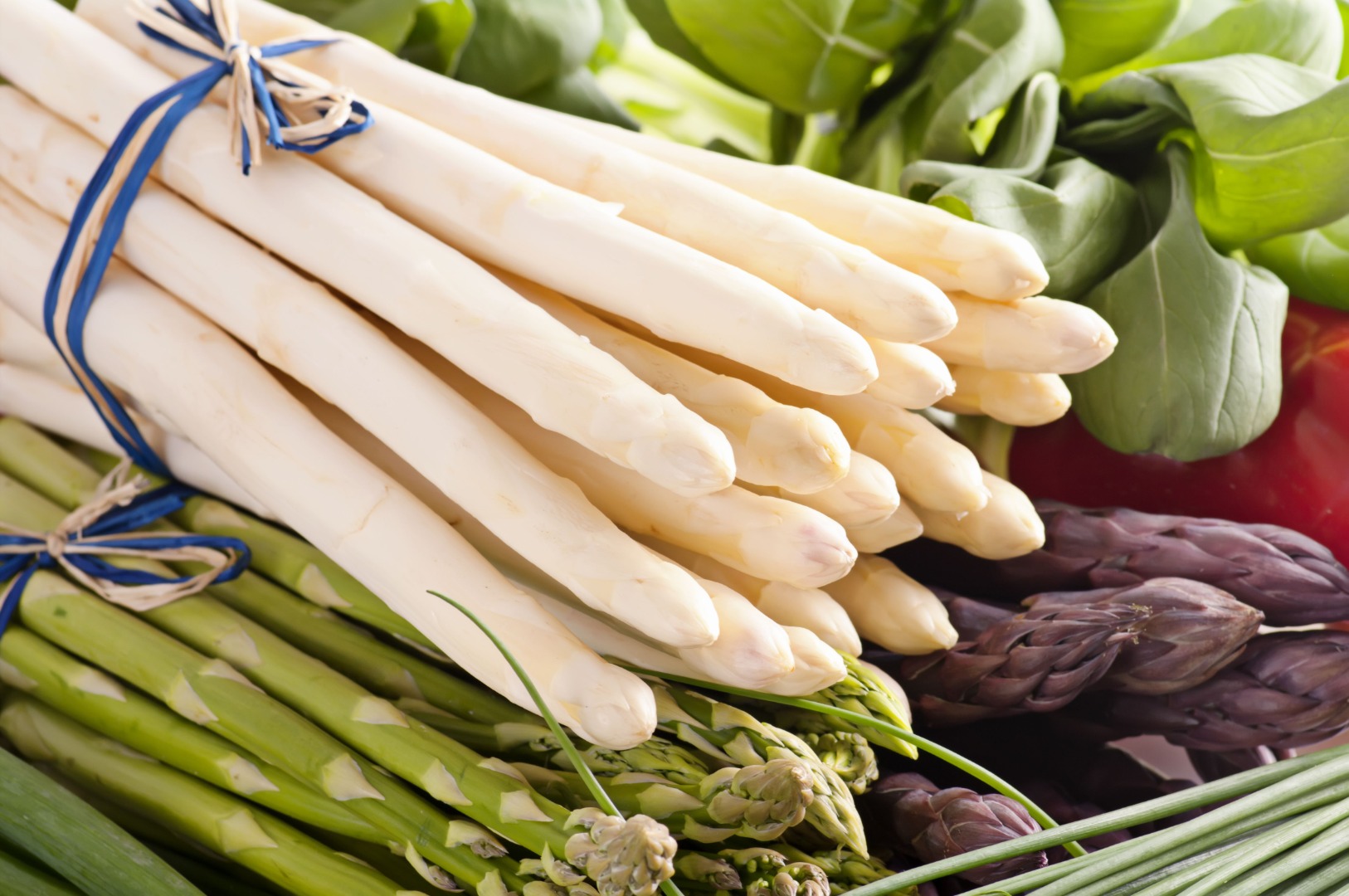 It offers the sale of white asparagus in the 2023 season in wholesale and retail quantities