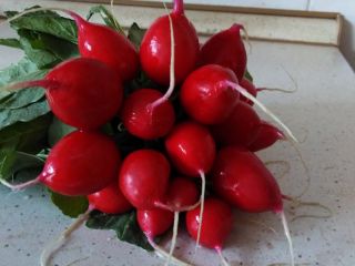 I will sell radish, chives and parsley. Later there