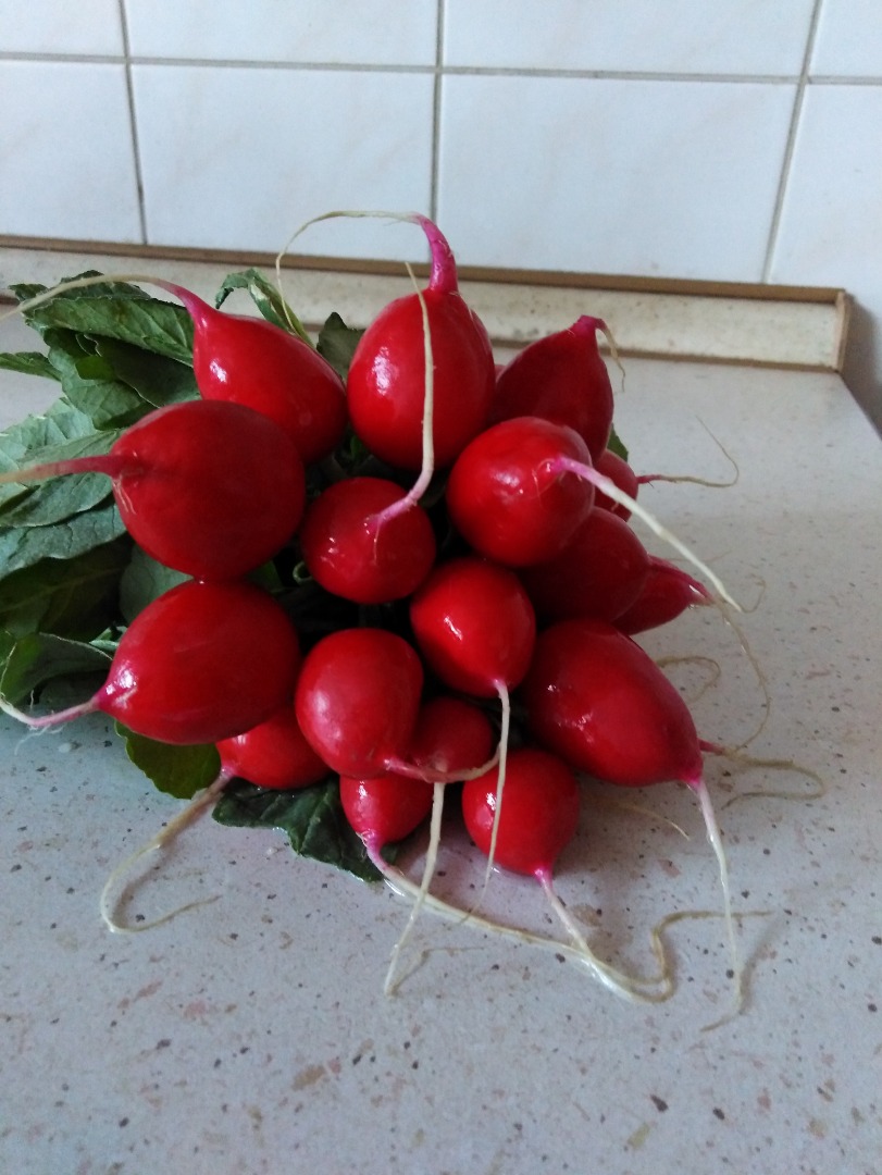 I will sell radish, chives and parsley