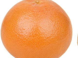 The grapefruit is a subtropical citrus tree known for