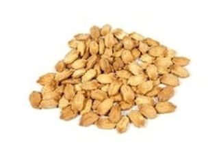 Bitter Melon Seeds [Momordica charantia]- MEDICINAL PLANT also called: