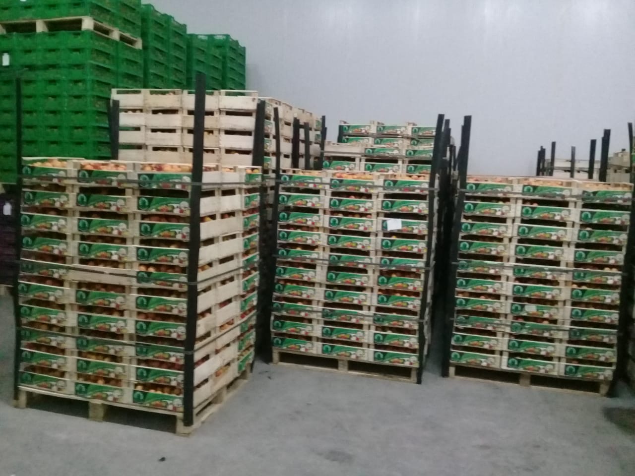 Depends on size, packaging conditions price can be negotiated