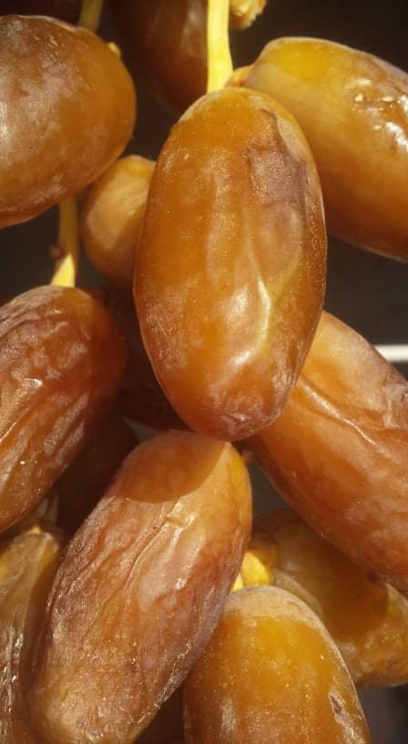 datte 1er choix bon gout