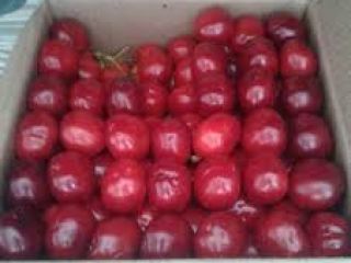 We are selling RED cherry as well as Black