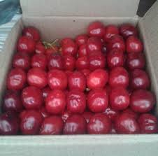 We are selling RED cherry as well as Black cherry price for red Cherry is 120 per Kg and for Black cherry price is Rs 150 per KG we prefer Bulk order