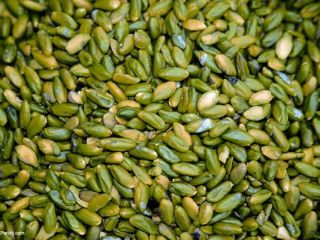 High Quality Pistachio Nut Kernels with best price High
