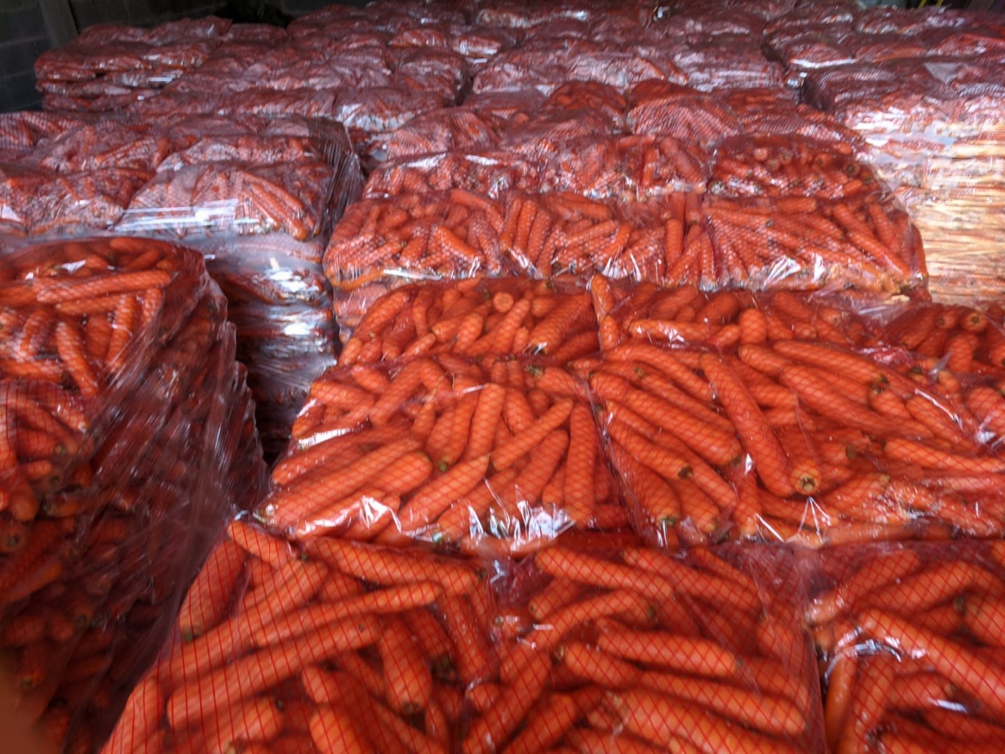 Sell first class carrot, best quality and best price