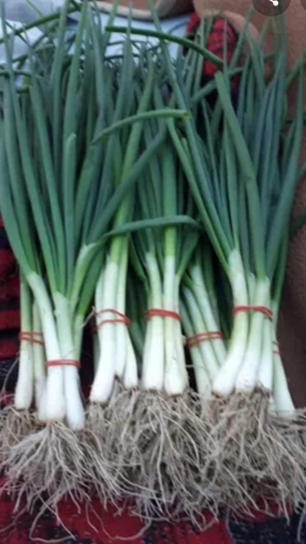I am selling green onions Com Romanu Jud Brăila