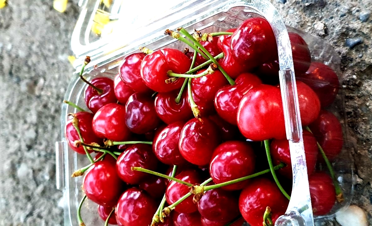 Excellent quality, fast shipping in Europe, prices to be agreed in quantities