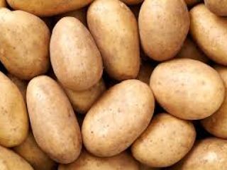 sweet potato