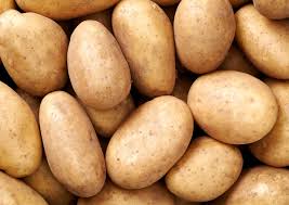 sweet potato