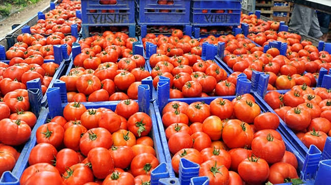 Türkiye'den sebze ve meyve satışı yapmaktayız