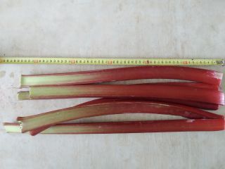 I will sell raspberry rhubarb, I'm interested in retail