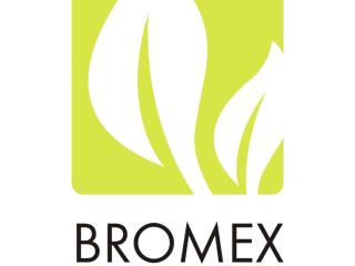 The BROMEX Poland company sells: cumin, coriander, GORCZYCE, Flaxseed