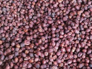 Dry rosehips, the best quality, we deliver to any