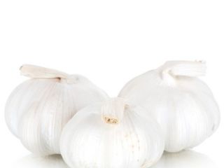 We sell garlic - 15 tons. Delivery is included