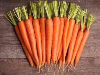 Sweet Carrot with Good Quality and Price for Exporting