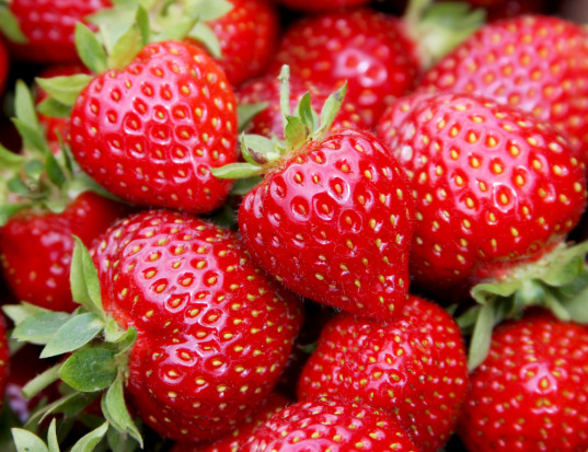 In the 2020 season we will sell industrial strawberries without stalks