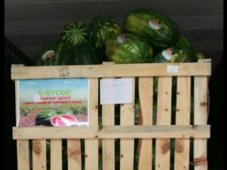 Nasza siedziba znajduje się w Agadirze i pochodzi z