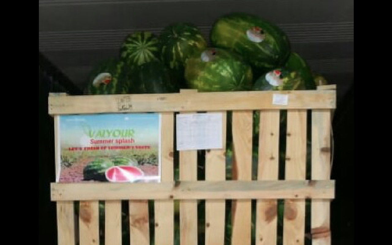 Nasza siedziba znajduje się w Agadirze i pochodzi z Maroka