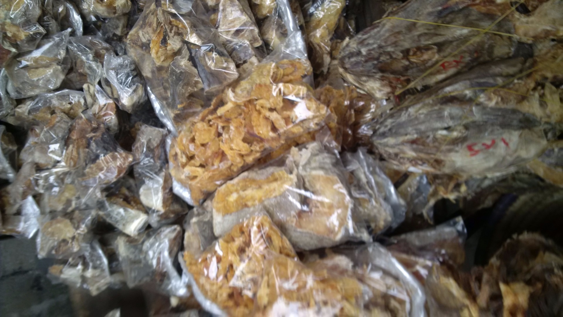 Stock Fish available