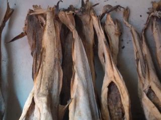 Well polished Nigerian rice available. Fleshed Stock Fish available.