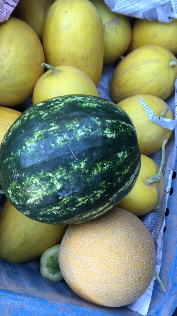 I will sell Melon Galia