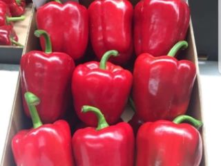 I will sell red pepper, class 1. We are