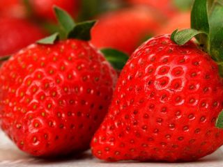 I will sell strawberries from the ground (from under