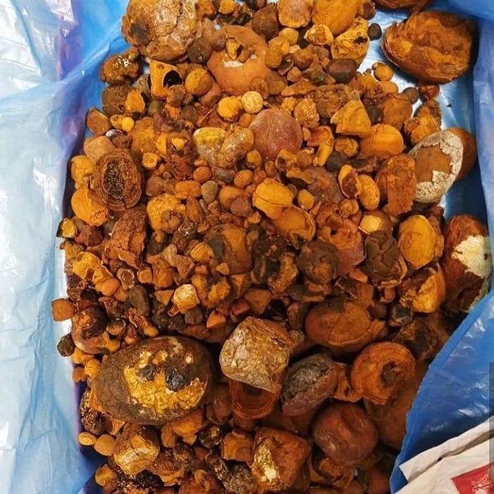 cattle gallstone available for you today in a any quantity