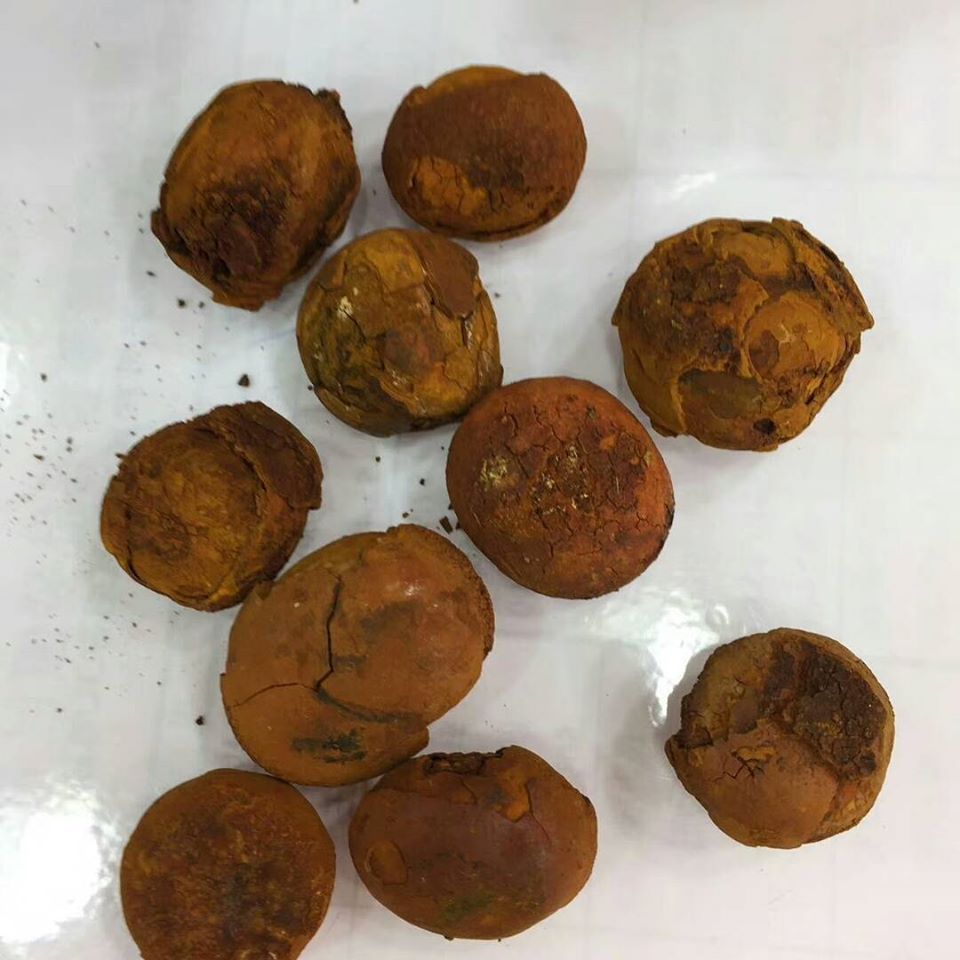 cattle gallstone available for you today in a any quantity we are beton stone founders in cad easily