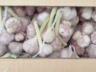 Imported garlic. Country of origin: Egypt Price per 1