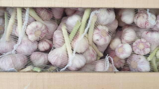Imported garlic