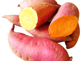 HARVEST GROUP Ltd is engaged in the cultivation of