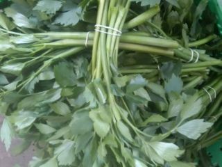 I will sell wholesale quantities of lovage. Freely packaged.