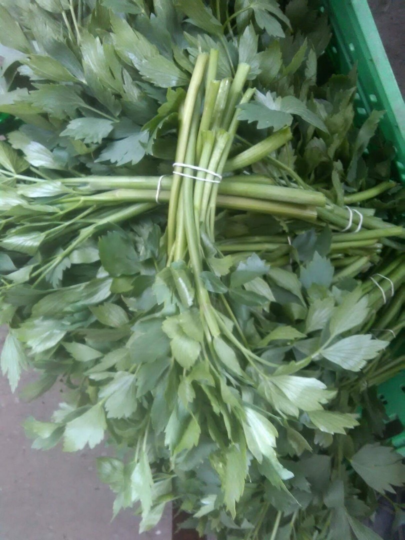 I will sell wholesale quantities of lovage