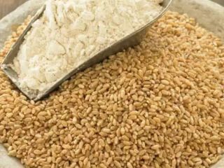 We offer the highest quality product with delivery to