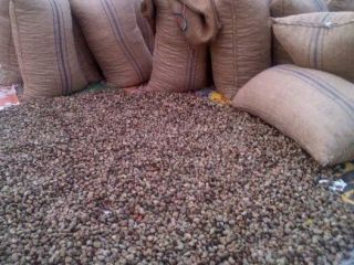 Raw Cashew Nuts Price:EUROS 1201.30 Brand:Nuts and Kernels Origin