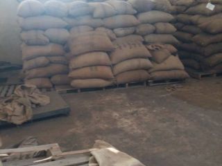 Raw Cashew Nuts Price:EUROS 1108.89 Brand:Nuts and Kernels Origin