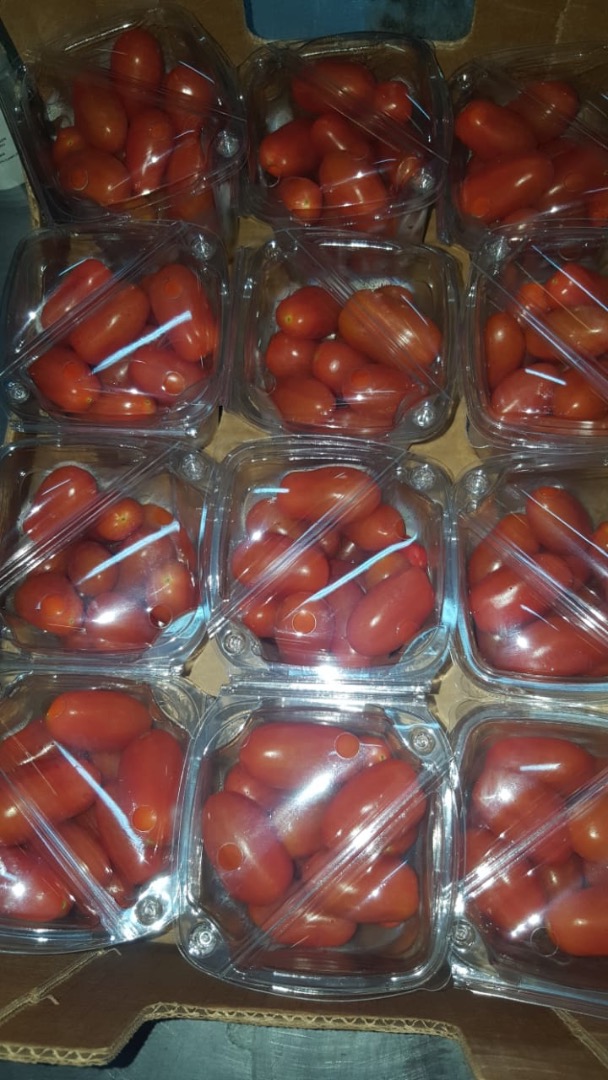 We are looking for regular recipients of tomato